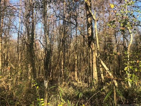 tbd Tobacco Rd, Orrum, NC 28369 photo 7