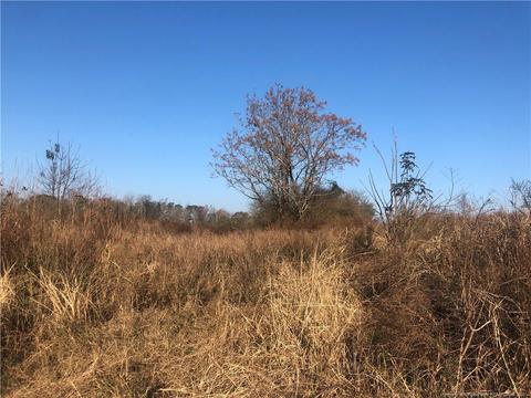tbd Tobacco Rd, Orrum, NC 28369 photo 1