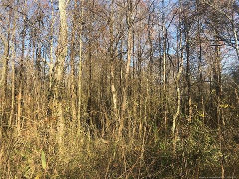 tbd Tobacco Rd, Orrum, NC 28369 photo 5