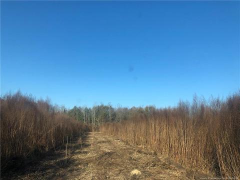 tbd Tobacco Rd, Orrum, NC 28369 photo 10