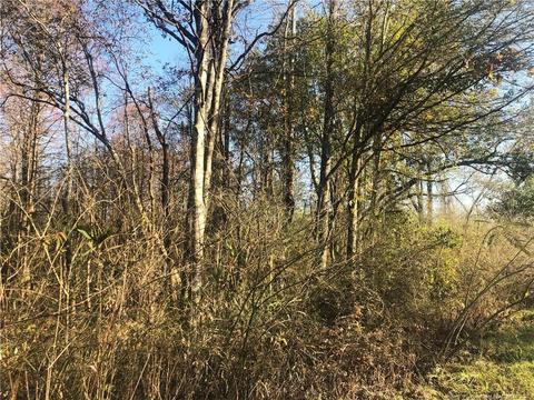 tbd Tobacco Rd, Orrum, NC 28369 photo 4