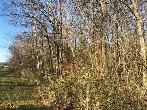 tbd Tobacco Rd, Orrum, NC 28369 photo 6