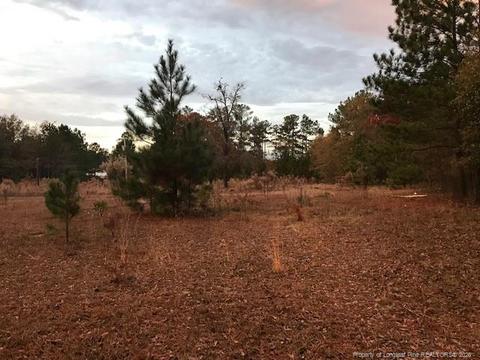 200 Gilchrist Rd, Cameron, NC 28326 photo 1