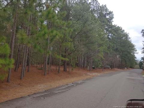 384 Moss Pink Dr, Vass, NC 28394 photo 2