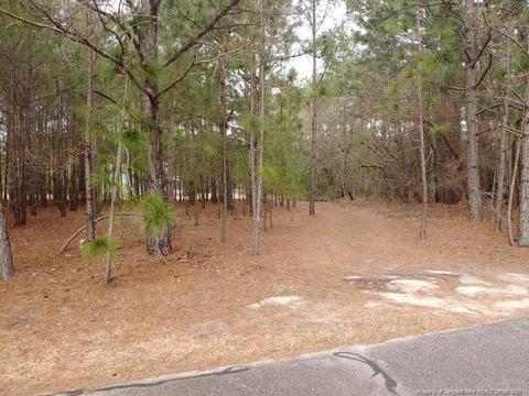 384 Moss Pink Dr, Vass, NC 28394 photo 4