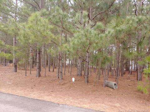 384 Moss Pink Dr, Vass, NC 28394 photo 3