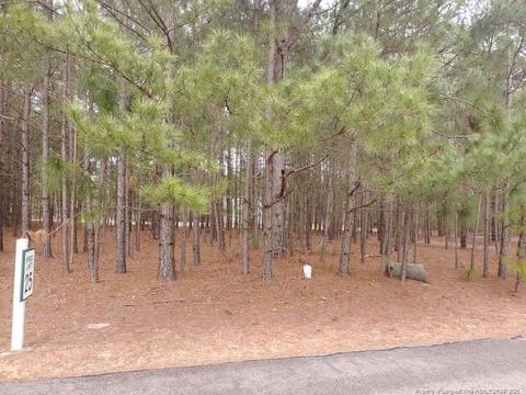 384 Moss Pink Dr, Vass, NC 28394 photo 1