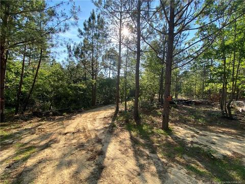 487 Akor Pl, Cameron, NC 28326 photo 1