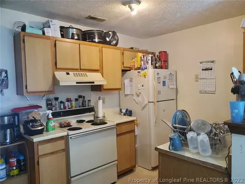 123 Eulon Loop, Raeford, NC 28376 photo 12