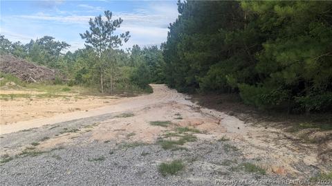 Tbd Pine Oak, Cameron, NC 28326 photo 9