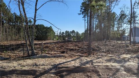 Tbd Pine Oak, Cameron, NC 28326 photo 14