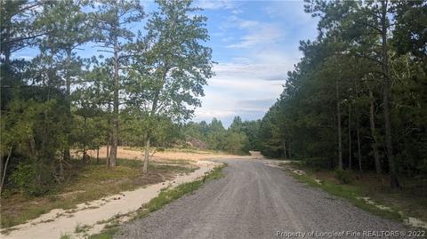 Tbd Pine Oak, Cameron, NC 28326 photo 8