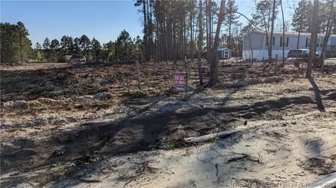 Tbd Pine Oak, Cameron, NC 28326 photo 15