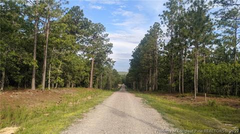 Tbd Pine Oak, Cameron, NC 28326 photo 7