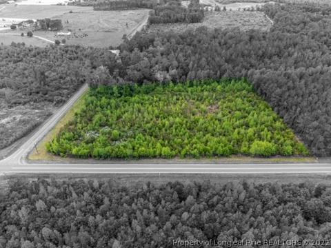16641 Wright Rd, Marston, NC 28363 photo 11