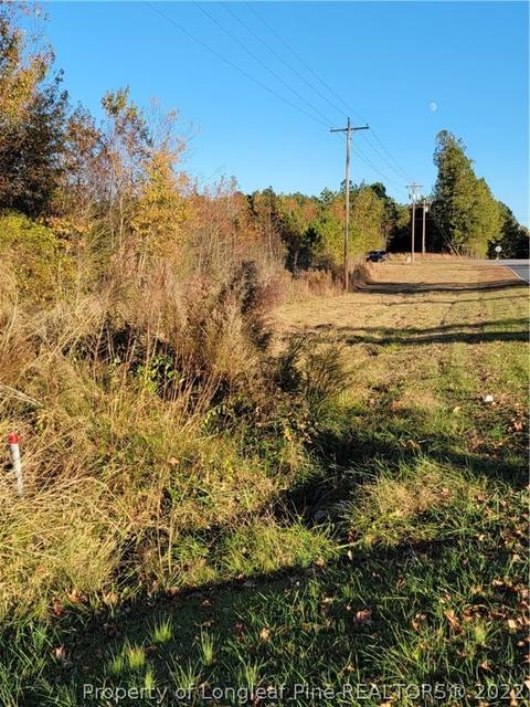 16641 Wright Rd, Marston, NC 28363 photo 1