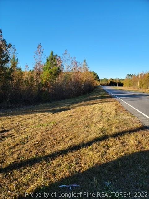 16641 Wright Rd, Marston, NC 28363 photo 2