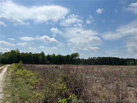 4052 Collier Rd, Wade, NC 28395 photo 3