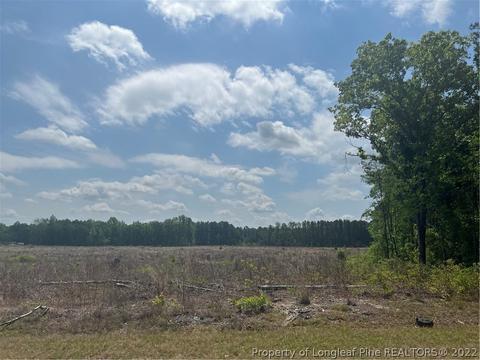 4052 Collier Rd, Wade, NC 28395 photo 8