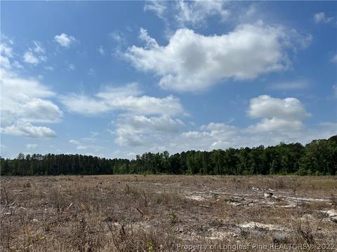 4052 Collier Rd, Wade, NC 28395 photo 2