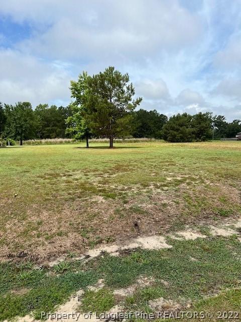 19 Smith Mill Road, Lumberton, NC 28358