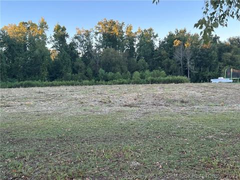 65 Olan Drive, Lumberton, NC 28360