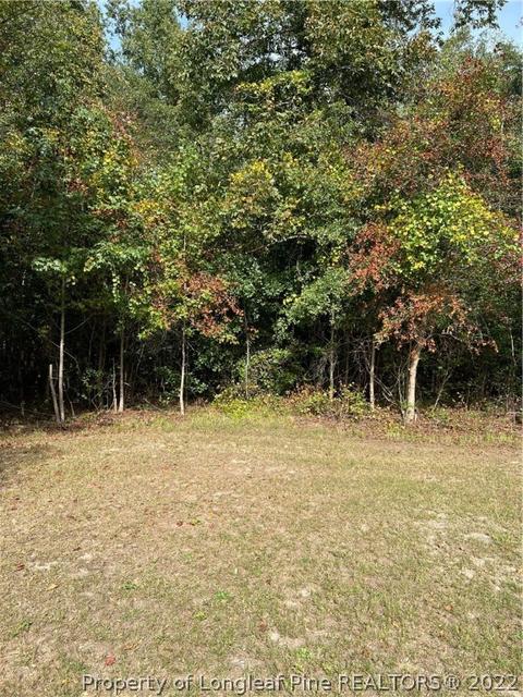 W Hollow Drive W, Pembroke, NC 28372