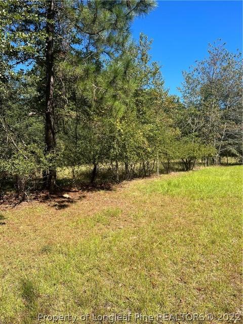 1955 Turkey Branch Rd, Fairmont, NC 28340