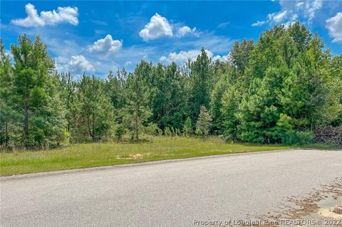 175 Jaylin Oaks Dr, Spring Lake, NC 28390 photo 1