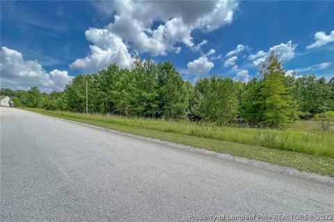 119 Jaylin Oaks Dr, Spring Lake, NC 28390 photo 1