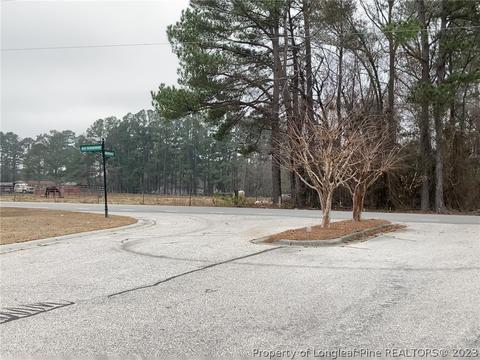 61 Willowcroft Ct, Dunn, NC 28334 photo 2