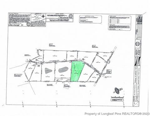 Lot 9 Tbd Mcbride Road, Jackson Springs, NC 27281