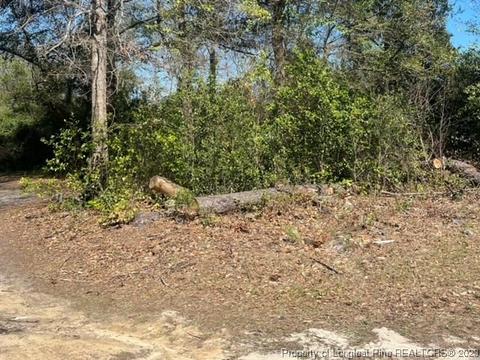 Silver City Street, Raeford, NC 28376