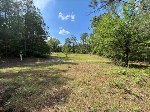 7934 Nc 210 S, Bunnlevel, NC 28323 photo 1