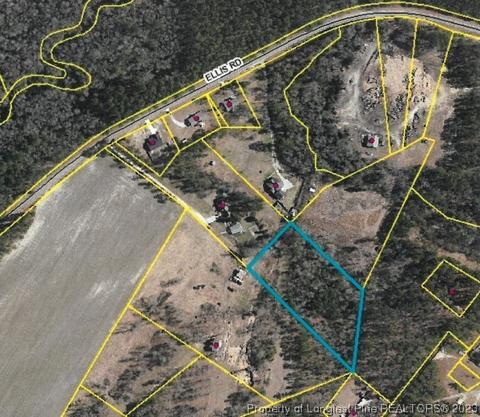 0000 Ellis Rd, Lumber Bridge, NC 28357