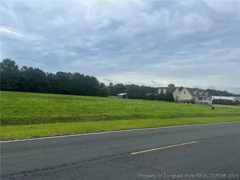 Fire Tower Rd Road, Orrum, NC 28369 photo 3