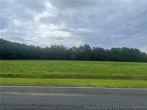 Fire Tower Rd Road, Orrum, NC 28369 photo 2
