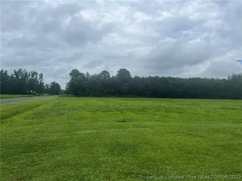 Fire Tower Road Road, Orrum, NC 28369