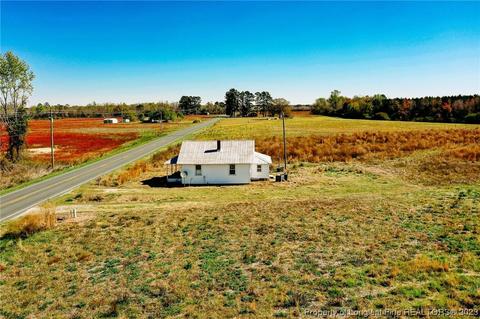 5221 Wire Grass Rd, Orrum, NC 28369 photo 1