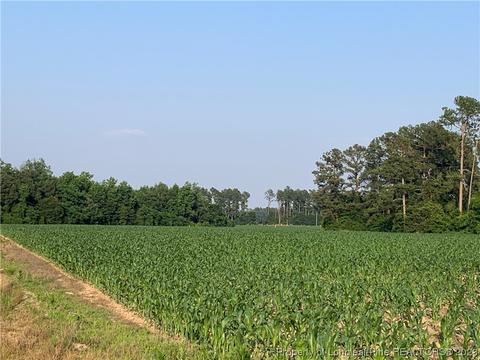 N Shannon Road, Shannon, NC 28386