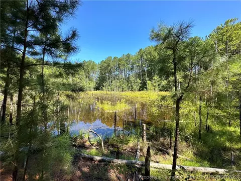 Tbd Pinewood Road, Sanford, NC 27332