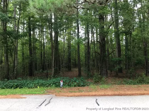 Antioch Lane, Lumberton, NC 28358