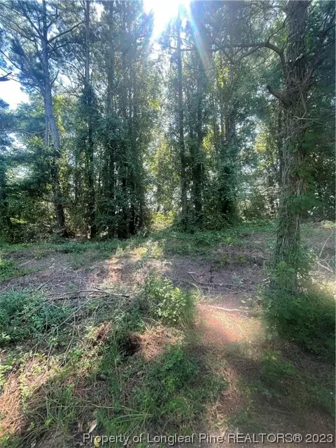 Sunshine Lane, Clinton, NC 28328