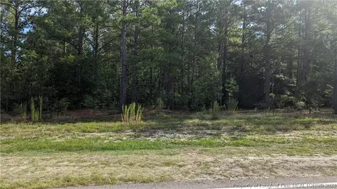 Tbd Rose Ridge Road, Jackson Springs, NC 27281