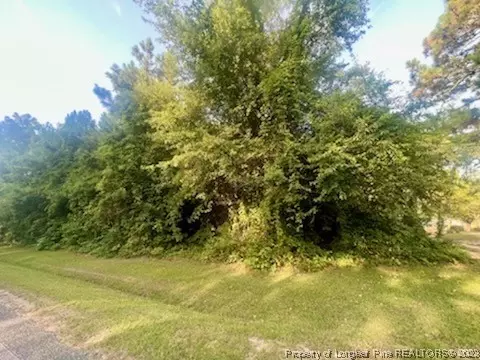 Ray Road, Spring Lake, NC 28390