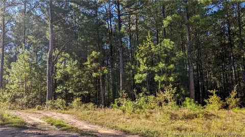 Roberts Road, Sanford, NC 27332