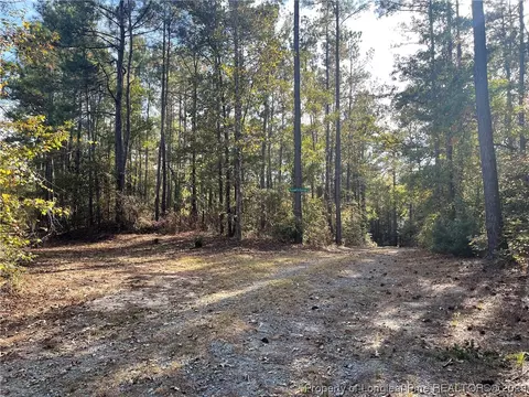 Tbd White Rock Road, Vass, NC 28394