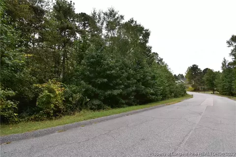 Yorkshire Drive, Cameron, NC 28326 photo 5