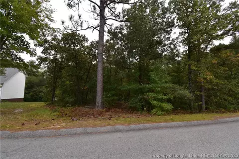 Yorkshire Drive, Cameron, NC 28326 photo 7