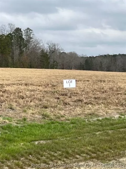 key road land LOT 1, Sanford, NC 27330